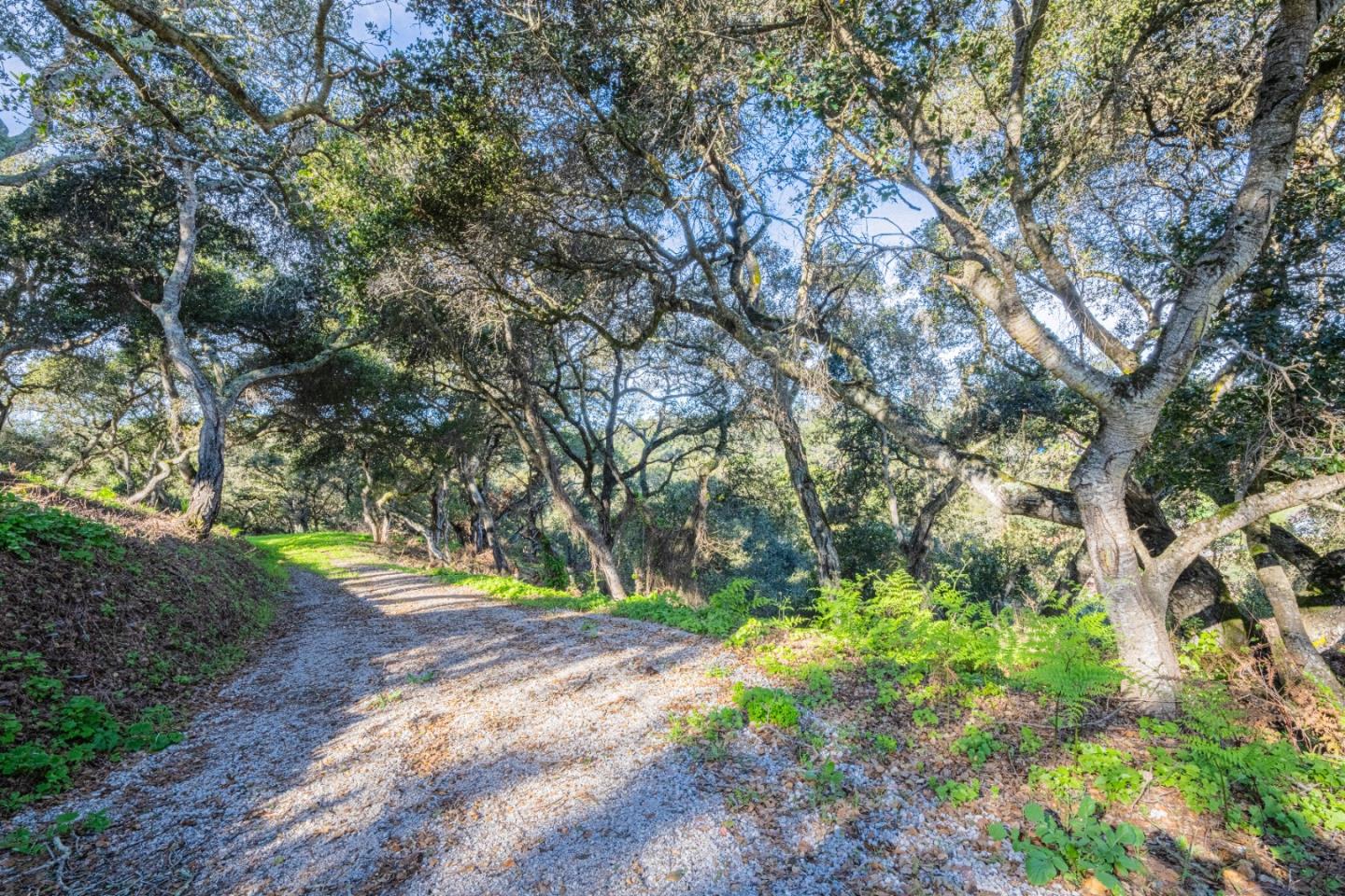 18924 Vierra Canyon Road Prunedale, CA 93907 - Photo 40 of 41 Gallery Image 40