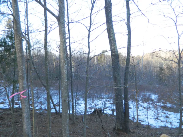 $105,000 | R6-41-s5 Ridley Road, Springvale, ME 04083