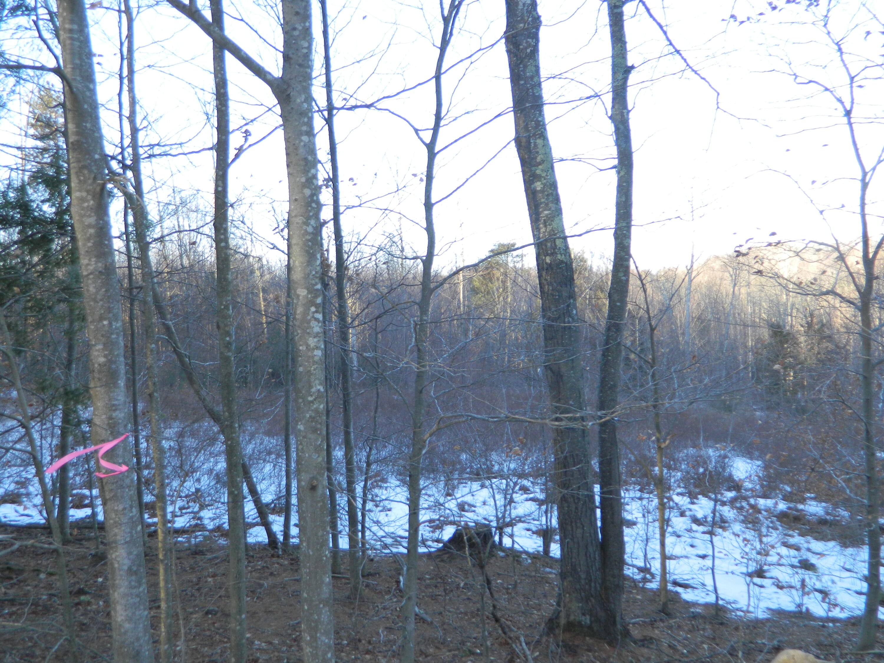 R6-41-s5 Ridley Road Springvale, ME 04083 - Photo 2 of 2 Sublot S5-2