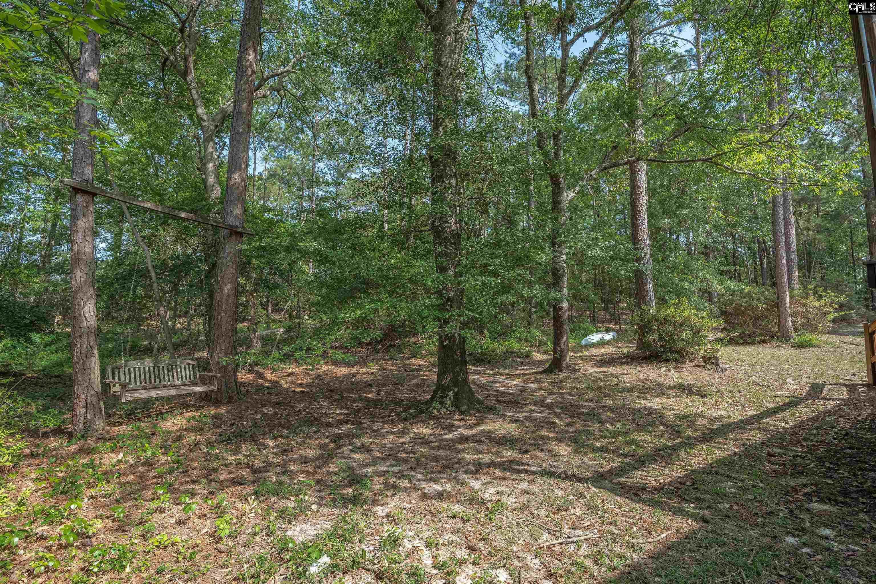 827 East Springs Road Columbia, SC 29223 - Photo 47 of 52
