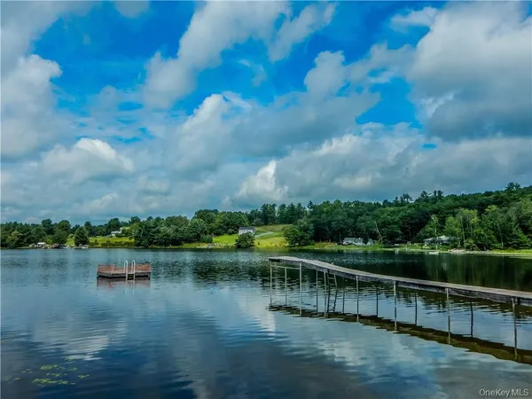 a view of a lake with a city view