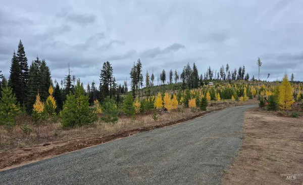 $459,000 | 2 & 3, Elk City, ID 83525