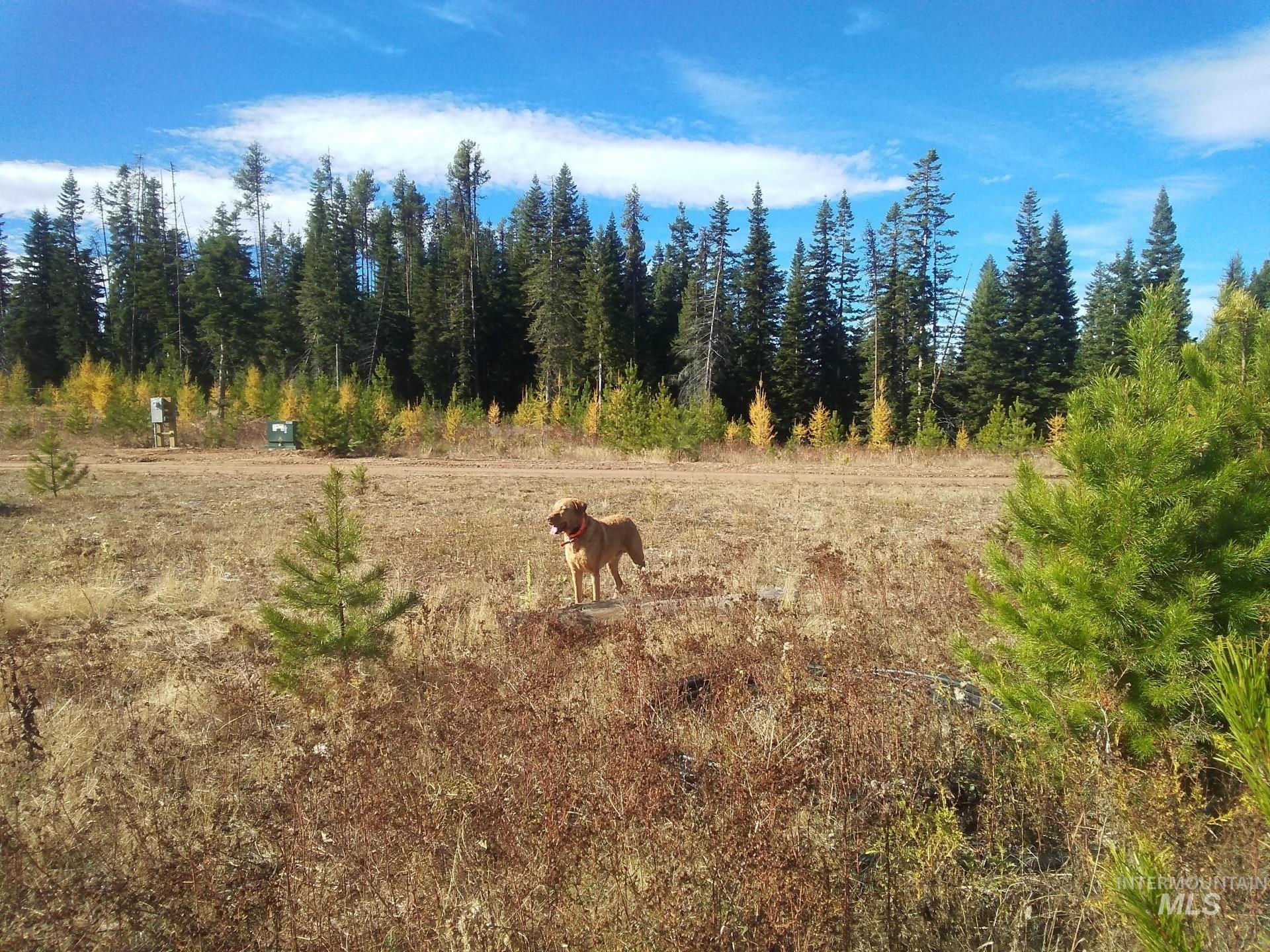 2 & 3 Elk City, ID 83525 - Photo 12 of 20