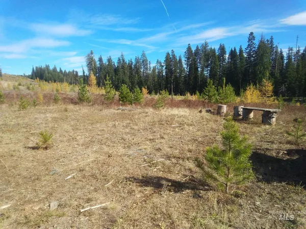 $459,000 | 2 & 3, Elk City, ID 83525