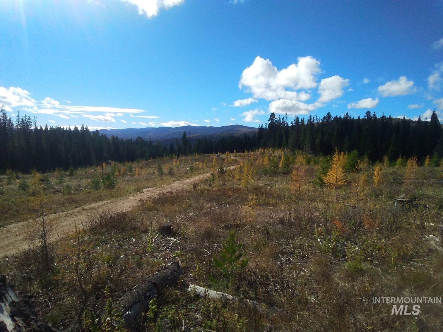 2 & 3 Elk City, ID 83525 - Photo 14 of 20