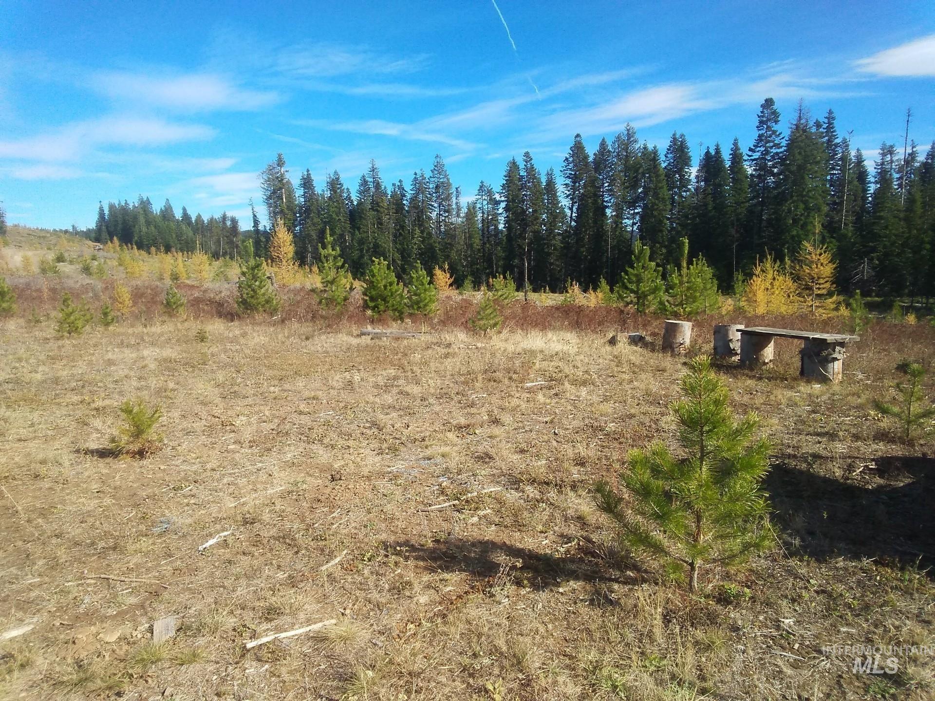 2 & 3 Elk City, ID 83525 - Photo 20 of 27