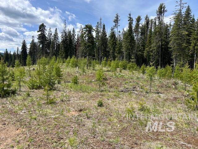 2 & 3 Elk City, ID 83525 - Photo 24 of 27