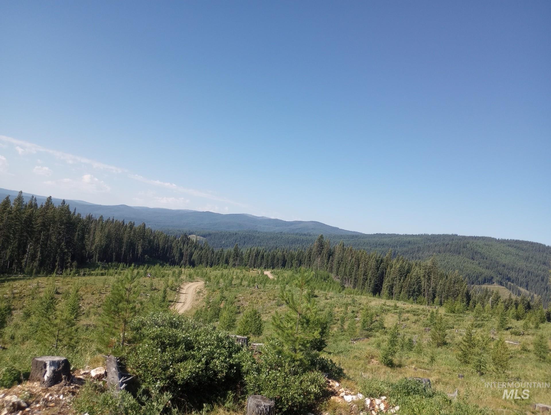 2 & 3 Elk City, ID 83525 - Photo 5 of 27 Mountain view featuring a heavily wooded area