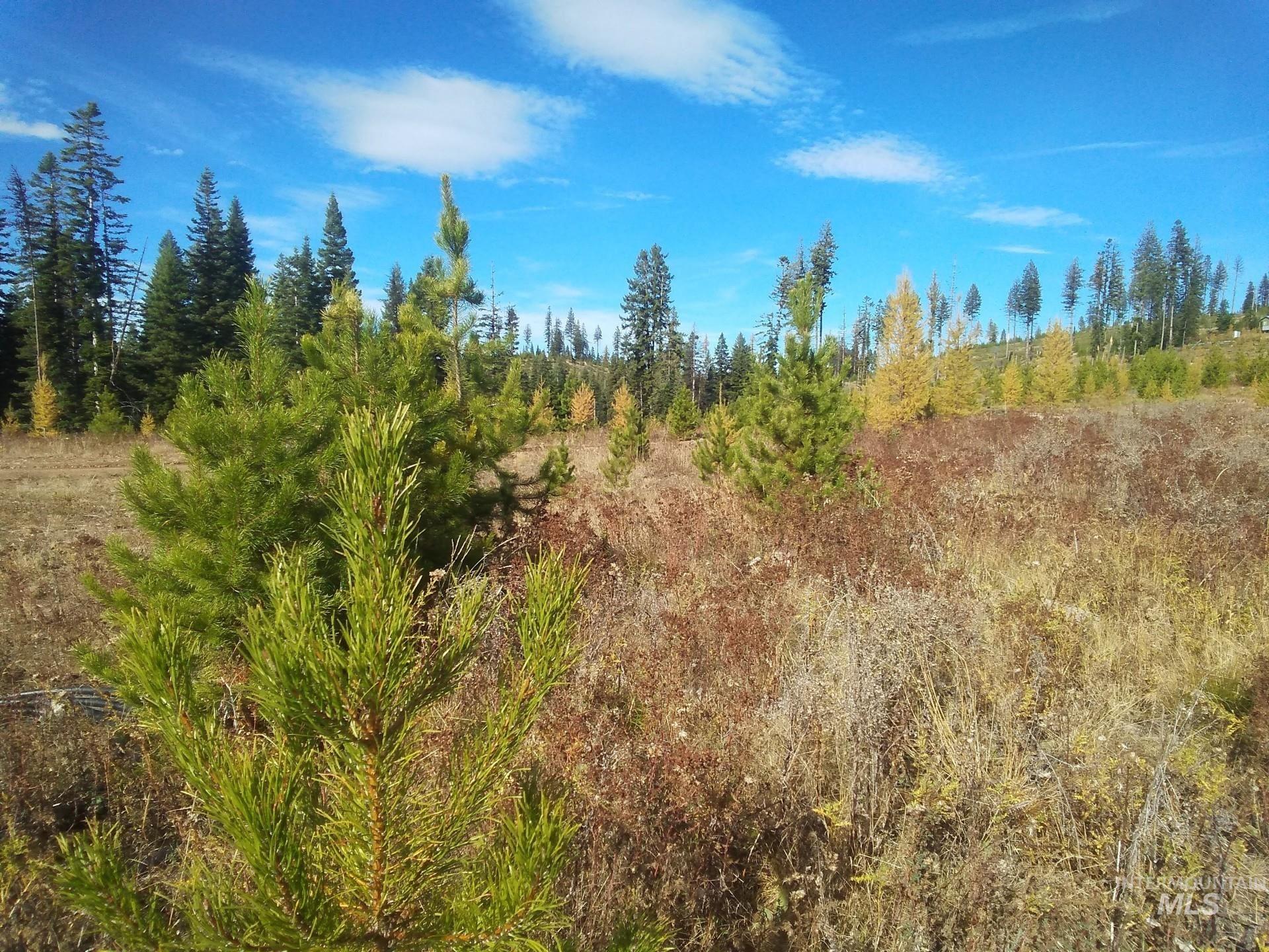 2 & 3 Elk City, ID 83525 - Photo 7 of 27