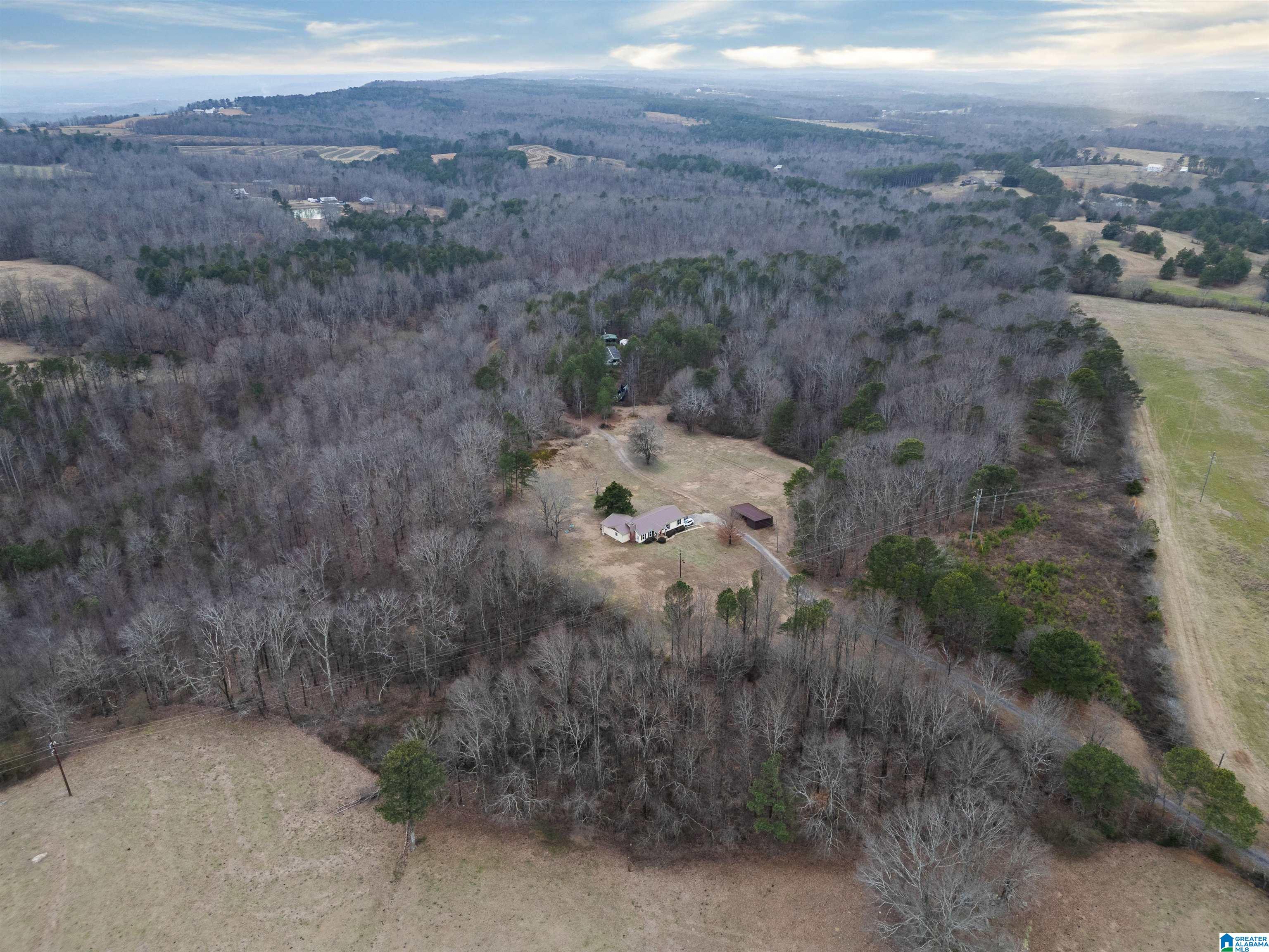 560 Phillips Drive Oneonta, AL 35121 - Photo 37 of 50