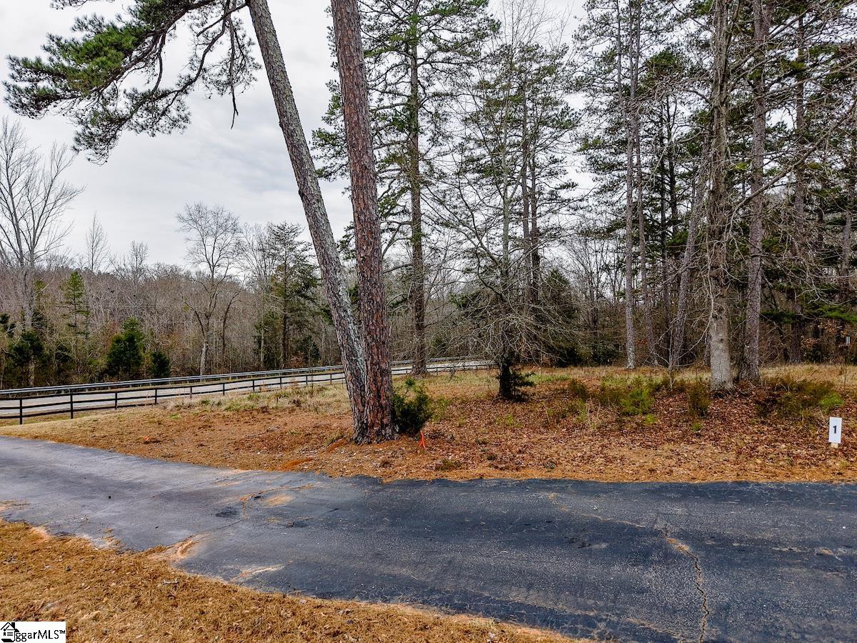 4800 Highway 29, Unit LOT 1 Anderson, SC 29626 - Photo 6 of 10
