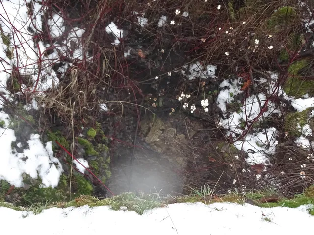 $425,000 | 17208 East Blanchard Road, Elk, WA 99009