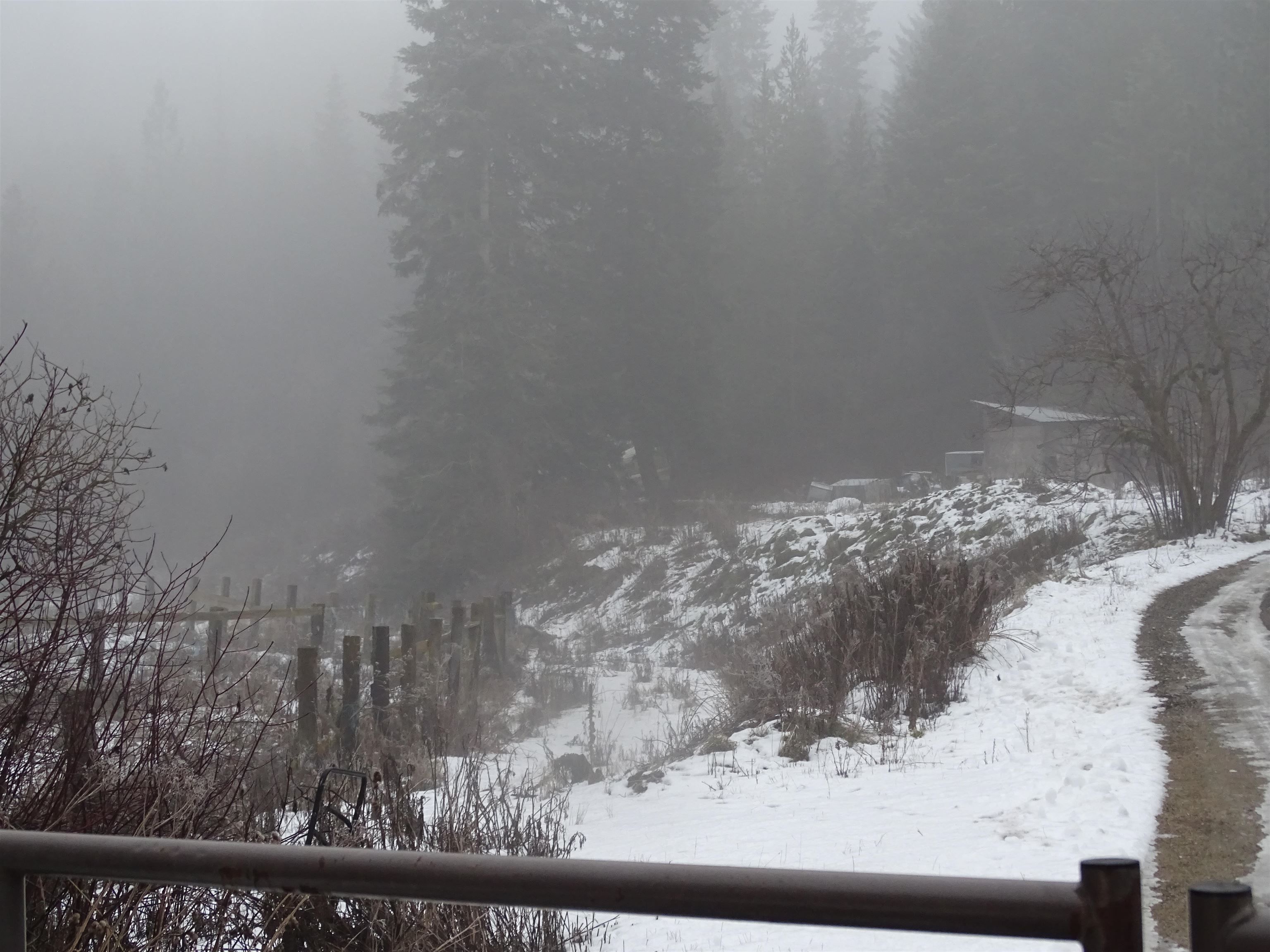 17208 East Blanchard Road Elk, WA 99009 - Photo 4 of 8