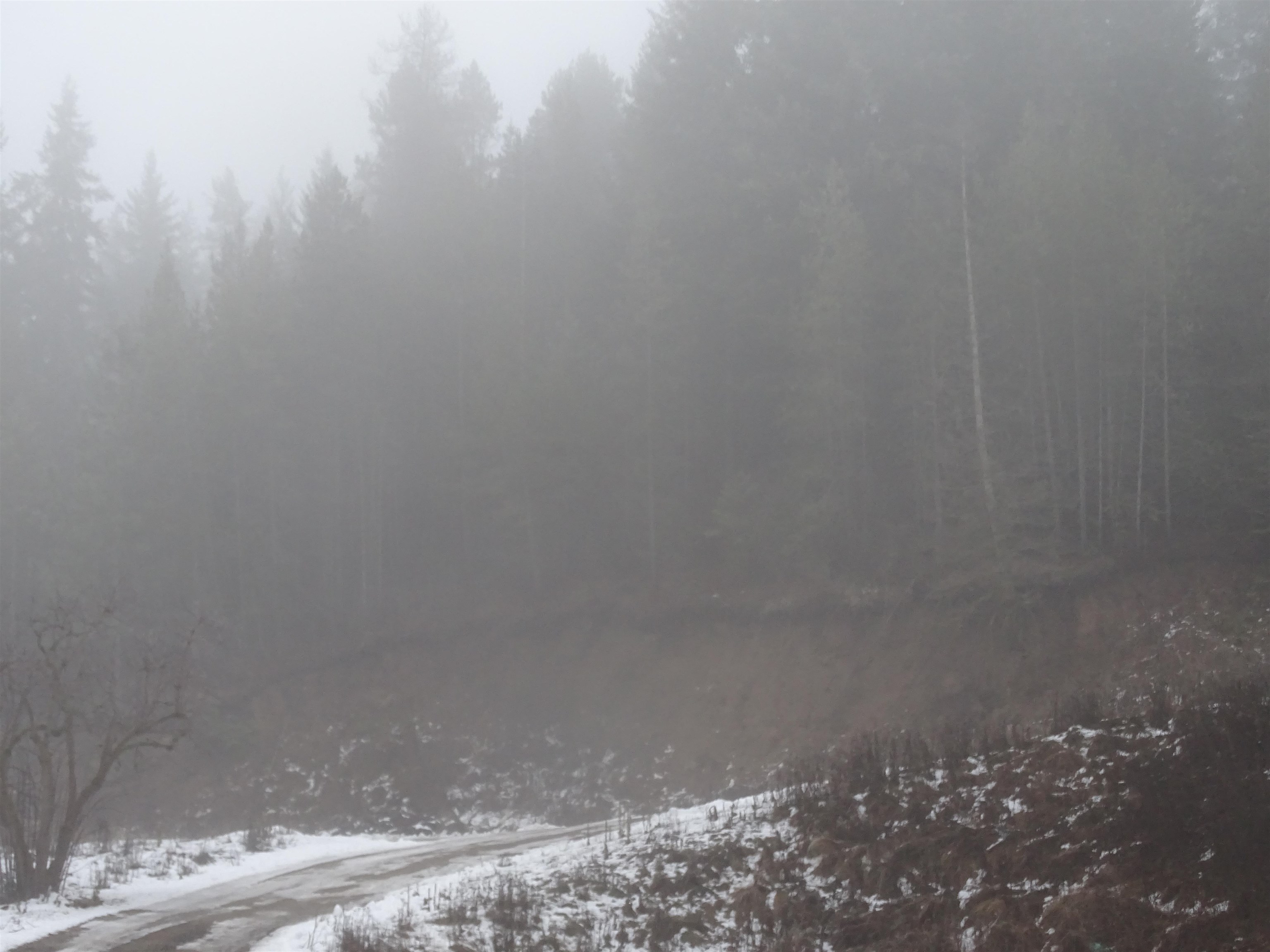 17208 East Blanchard Road Elk, WA 99009 - Photo 5 of 8