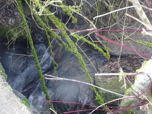 $425,000 | 17208 East Blanchard Road, Elk, WA 99009