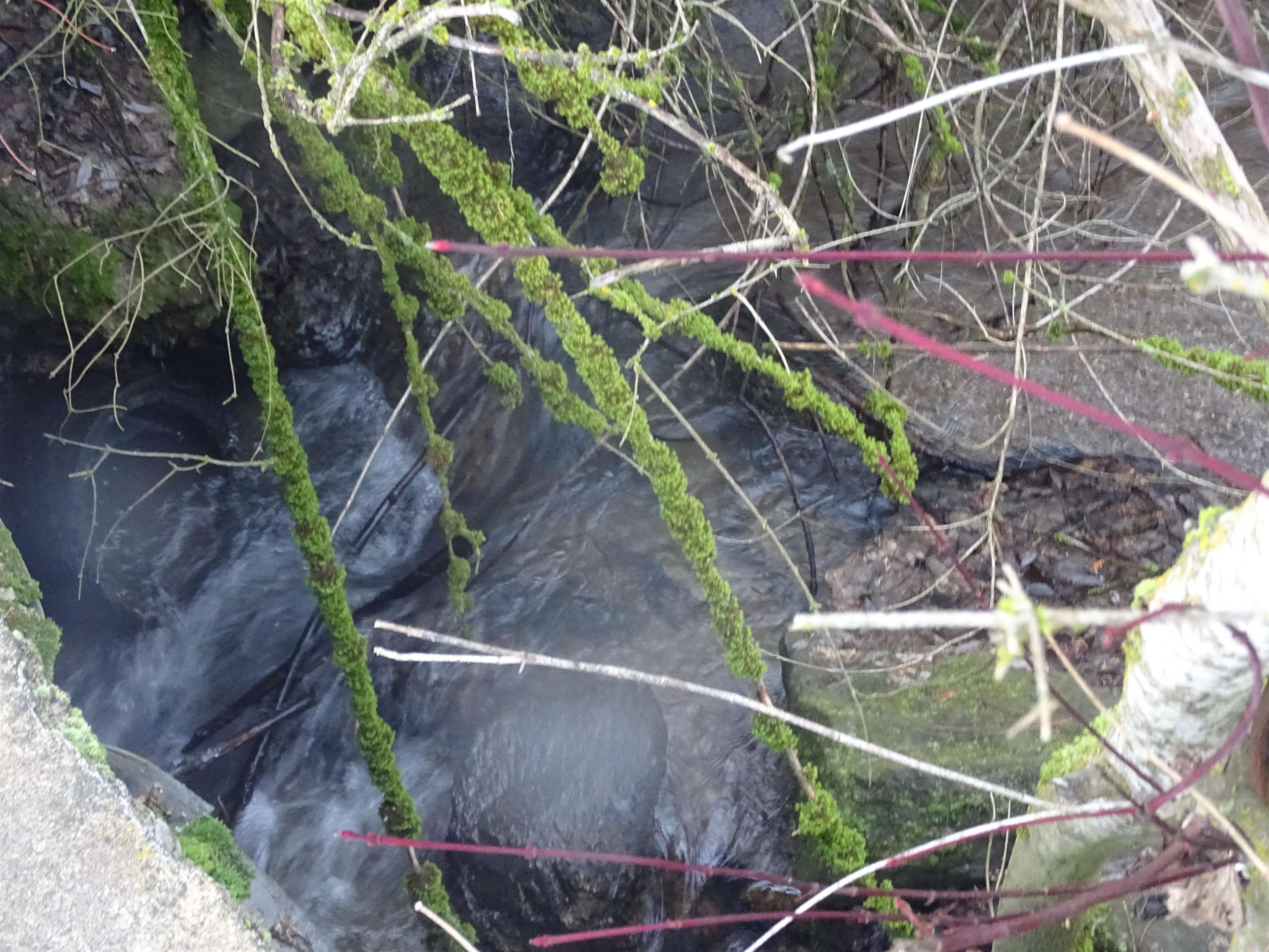 17208 East Blanchard Road Elk, WA 99009 - Photo 6 of 8