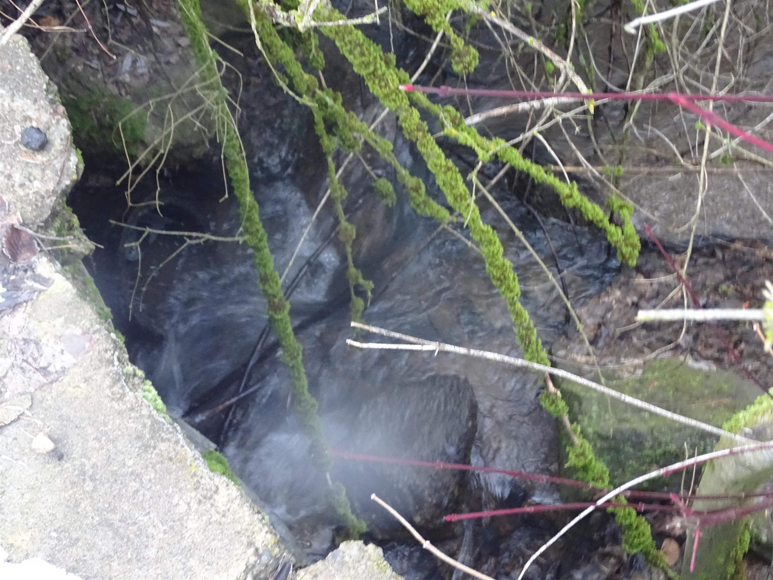 17208 East Blanchard Road Elk, WA 99009 - Photo 7 of 8