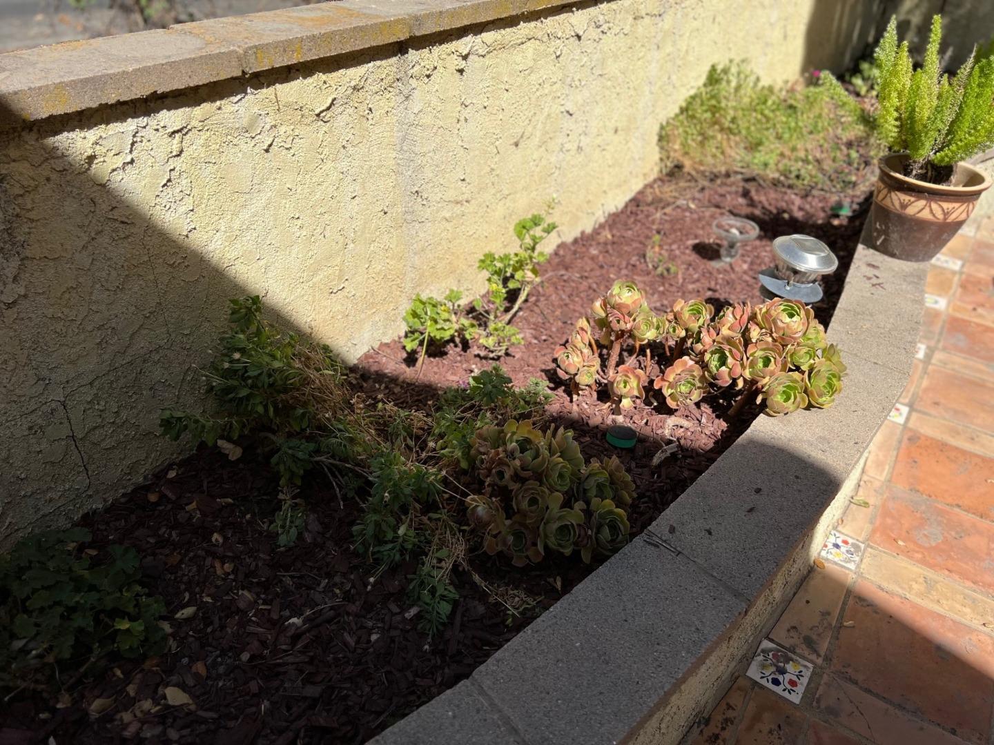 14004 Clayton Road San Jose, CA 95127 - Photo 28 of 43 a view of a lot of flowers in a yard