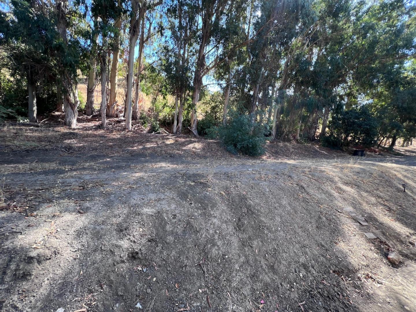 14004 Clayton Road San Jose, CA 95127 - Photo 37 of 43 a view of outdoor space with trees