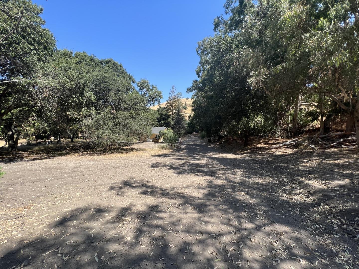 14004 Clayton Road San Jose, CA 95127 - Photo 39 of 43 a view of a yard with a tree