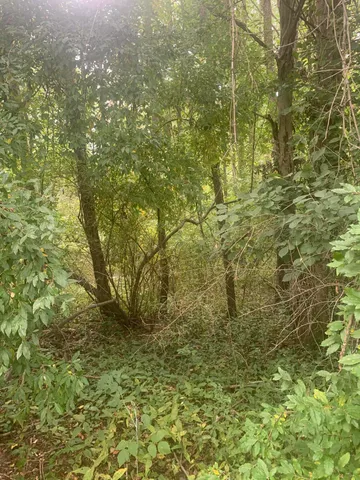 $99,900 | V/l Springhill Drive, Allegan, MI 49010