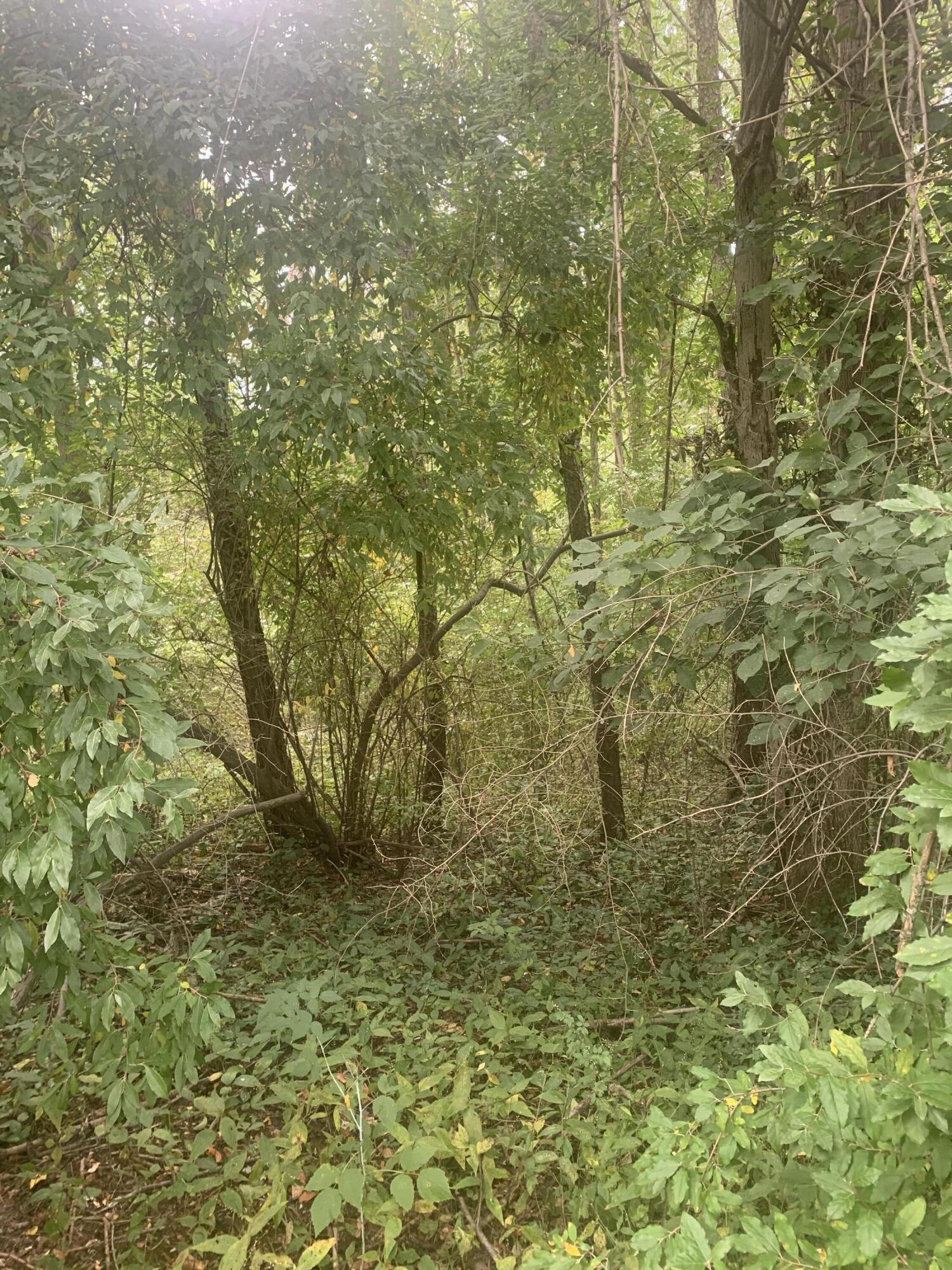 V/l Springhill Drive Allegan, MI 49010 - Photo 11 of 12 IMG_9865