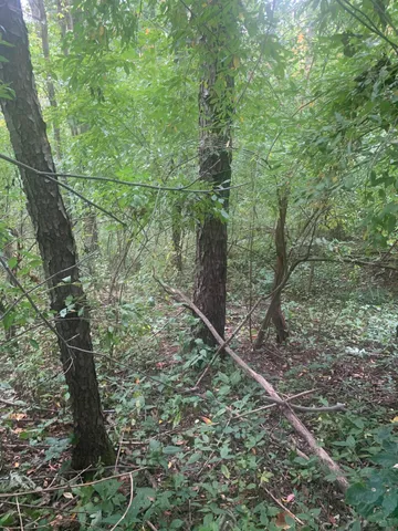 $99,900 | V/l Springhill Drive, Allegan, MI 49010