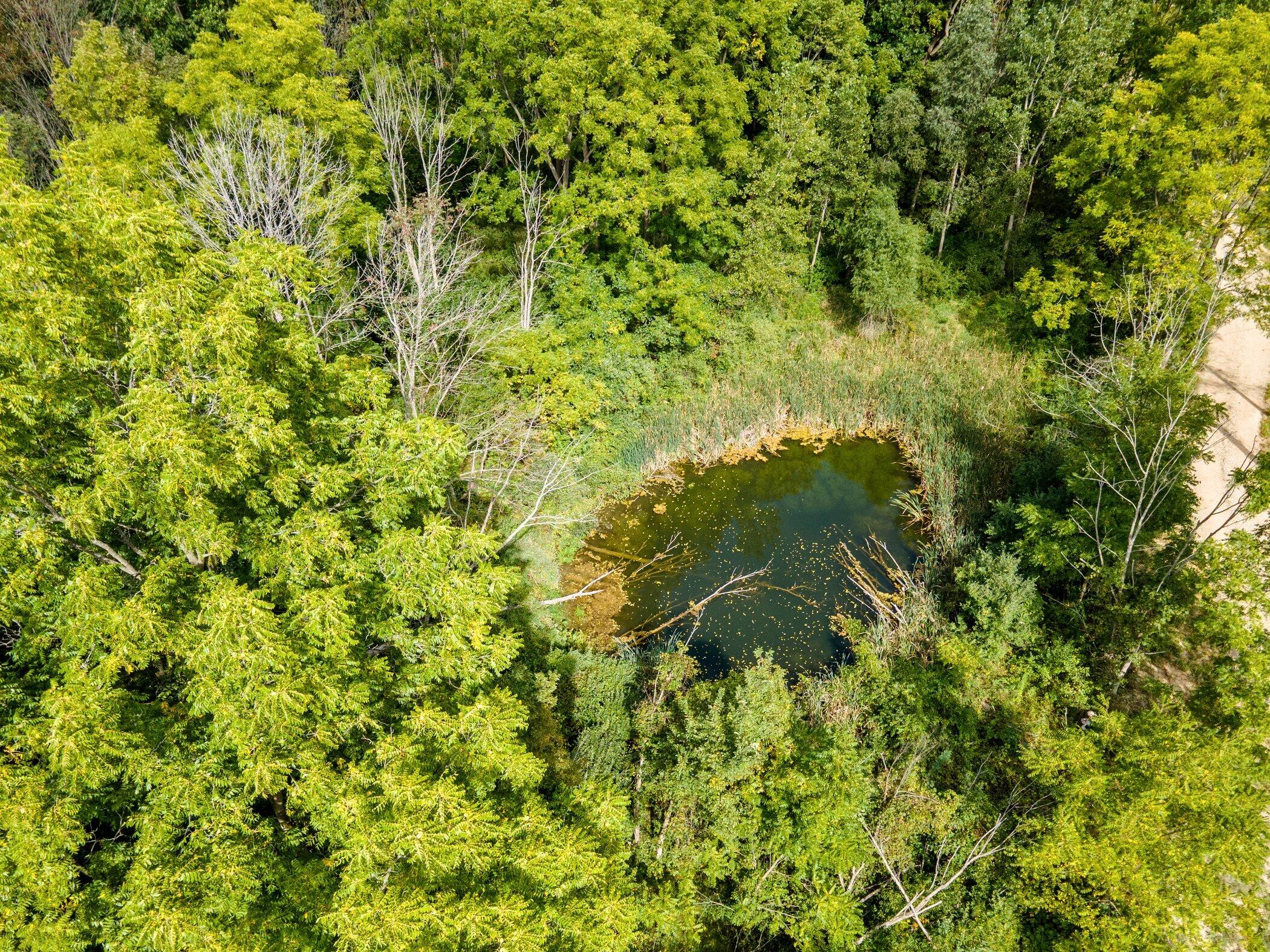 V/l Springhill Drive Allegan, MI 49010 - Photo 5 of 12 Vacant-lot-Spring-Hill-drive-vacant-lot-