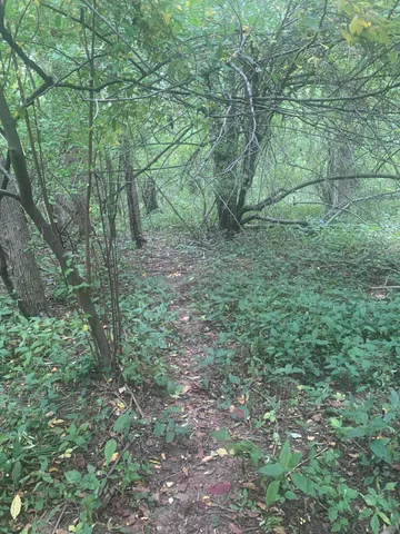 $99,900 | V/l Springhill Drive, Allegan, MI 49010