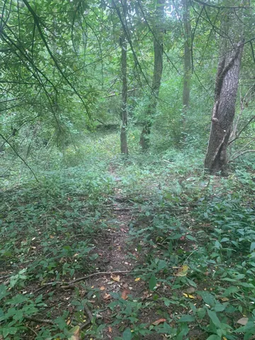 $99,900 | V/l Springhill Drive, Allegan, MI 49010