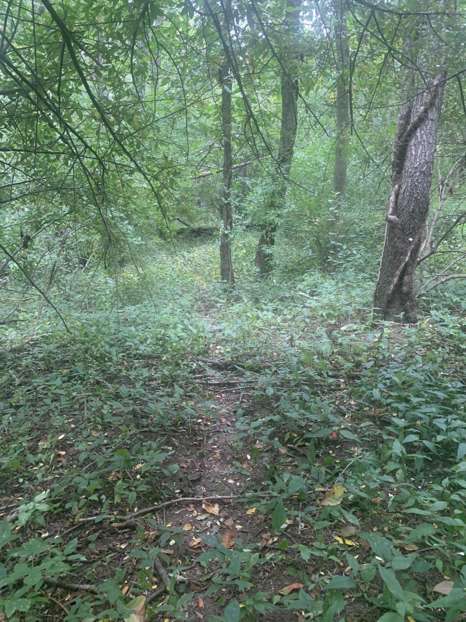 V/l Springhill Drive Allegan, MI 49010 - Photo 9 of 12 IMG_9869