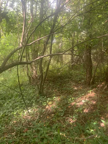 $99,900 | V/l Springhill Drive, Allegan, MI 49010