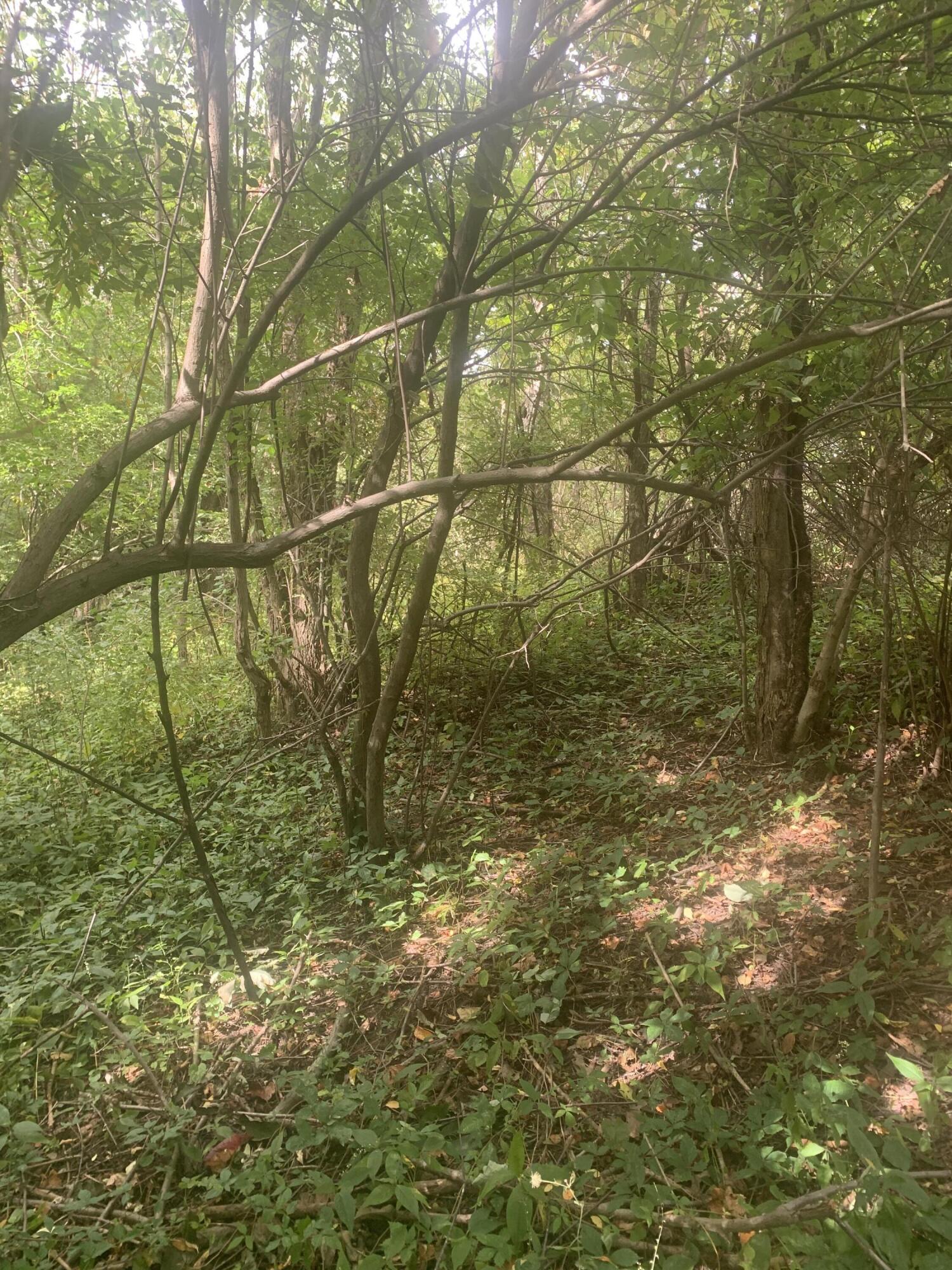 V/l Springhill Drive Allegan, MI 49010 - Photo 10 of 12 IMG_9867