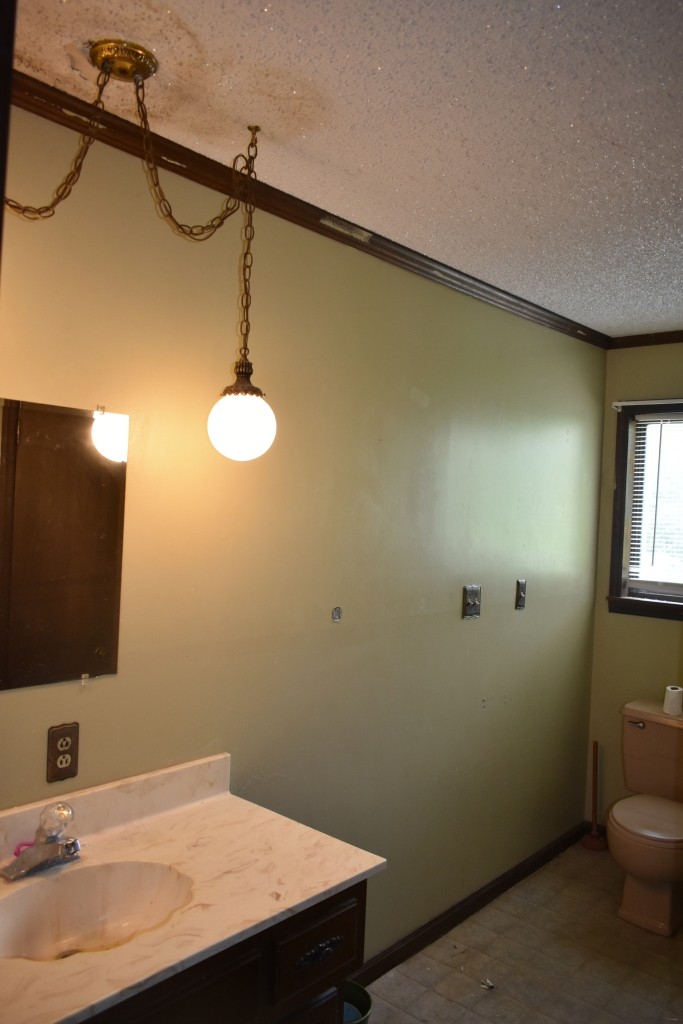 19 Kemp Hollow Road Pleasant Shade, TN 37145 - Photo 5 of 8 a bathroom with a sink and a mirror