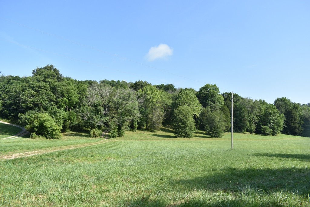 19 Kemp Hollow Road Pleasant Shade, TN 37145 - Photo 8 of 8 a view of a field with a tree in the background