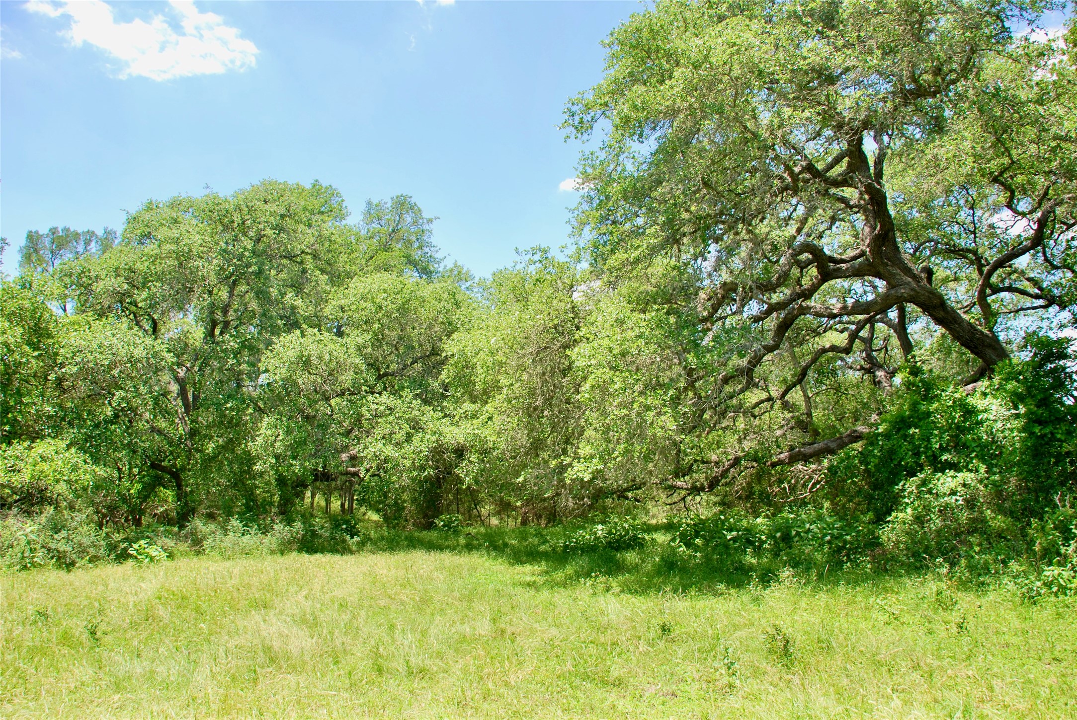 2170 Langdon Road Weimar, TX 78962 - Photo 17 of 31