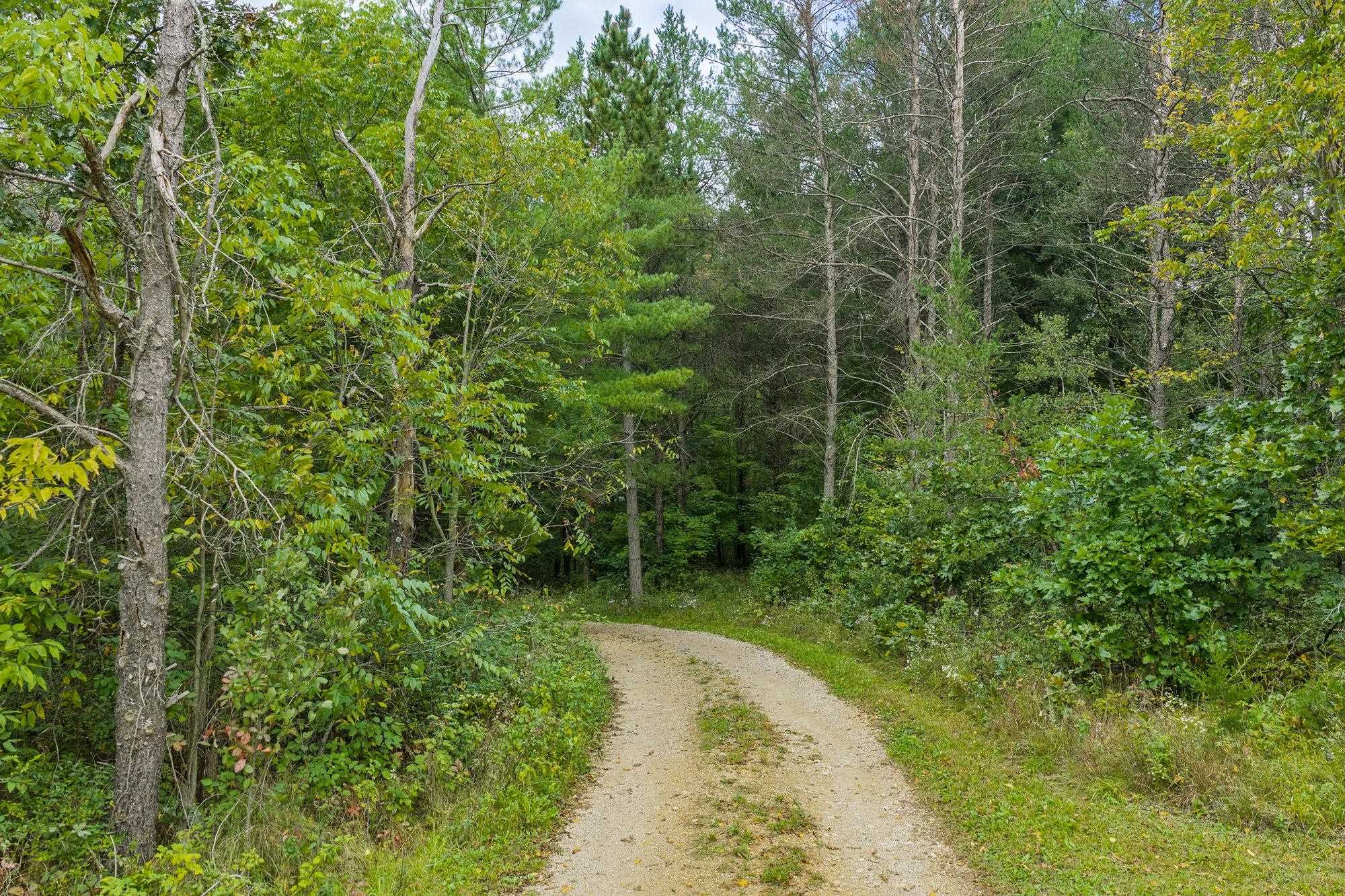 N259 County Rd HH Lyndon Station, WI 53944 - Photo 5 of 48 Gallery Image 5