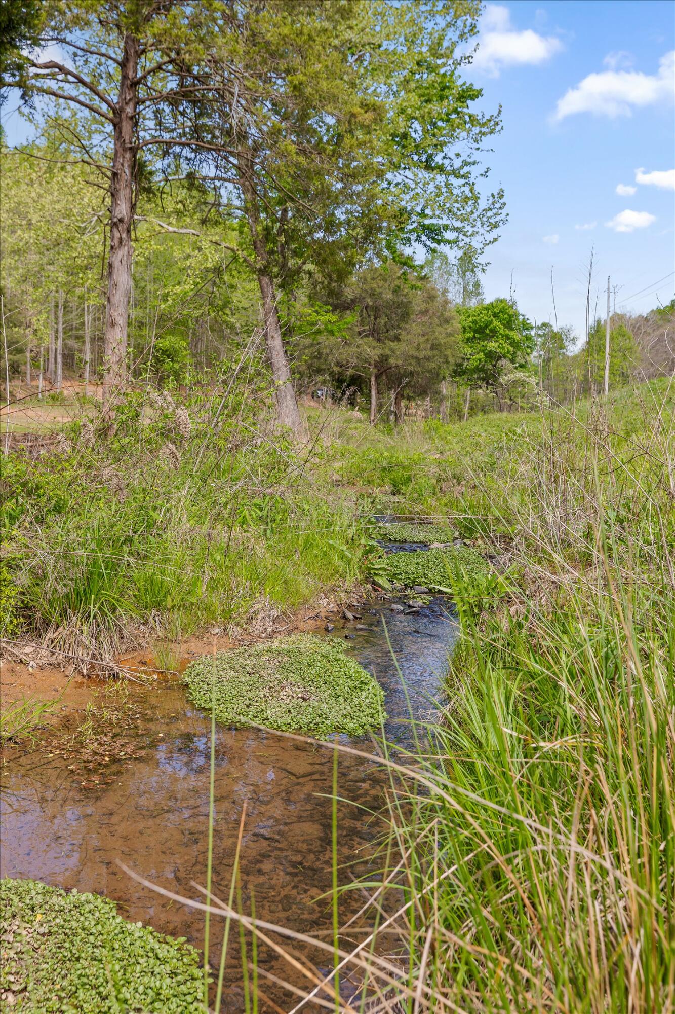 335 County Road 188 Decatur, TN 37322 - Photo 29 of 53 29-Co Rd 188-28