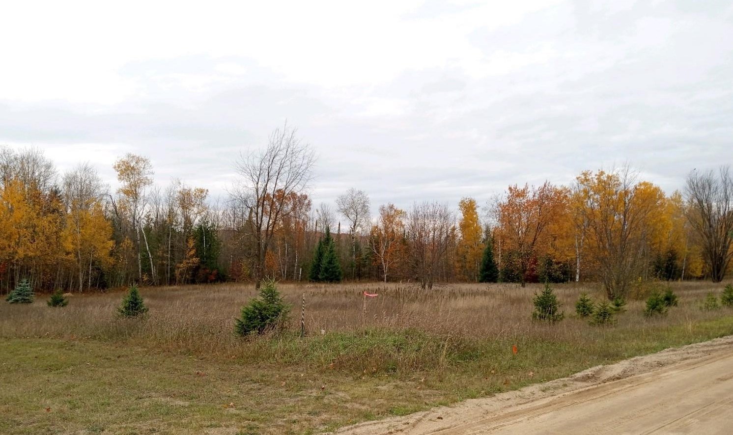 0 Bennett Road, Unit PARCEL B1 Williamsburg, MI 49690 - Photo 4 of 7