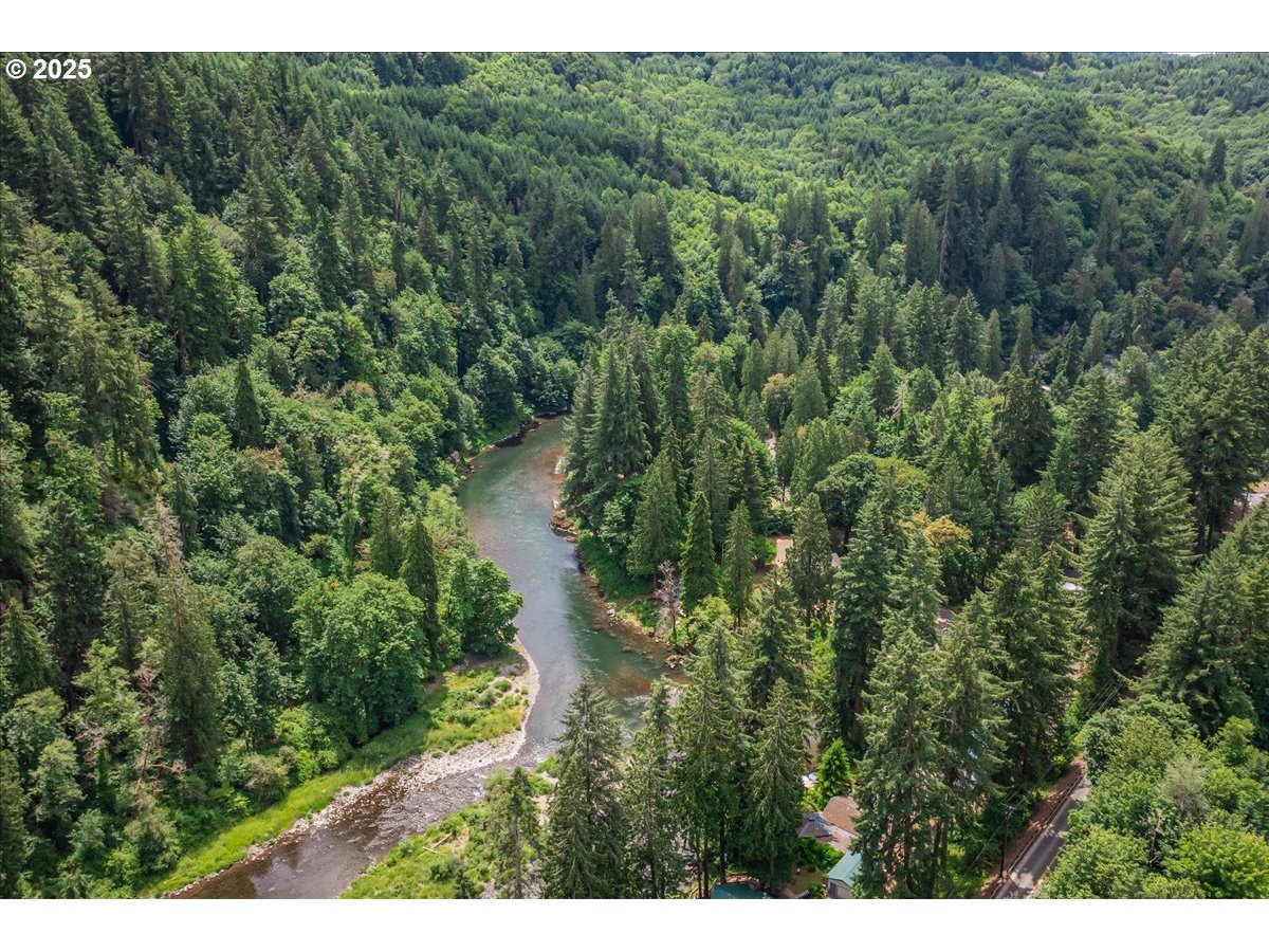 1717 Kalama River Road Kalama, WA 98625 - Photo 46 of 48 a view of a forest with a street