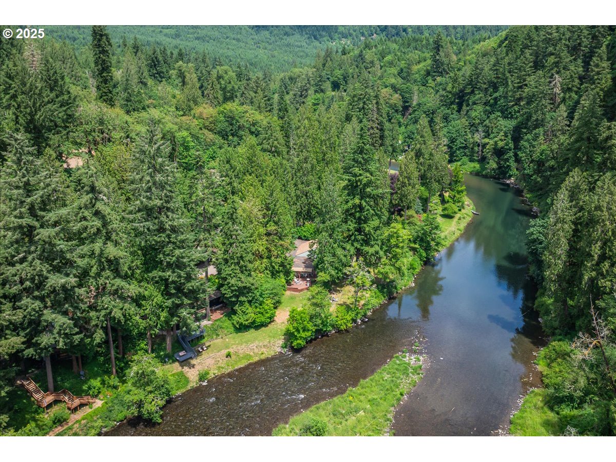 1717 Kalama River Road Kalama, WA 98625 - Photo 47 of 48 a view of a yard with plants