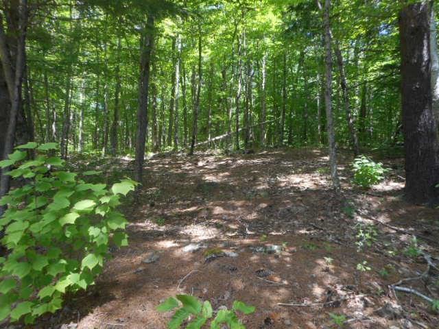Lot #2 Bluff Road Enfield, ME 04493 - Photo 6 of 9 Photo