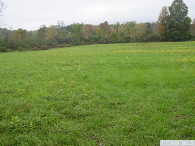 39 Turon Road Greenville, NY 12083 - Photo 3 of 6 Photo 3