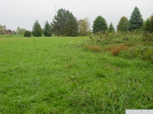 39 Turon Road Greenville, NY 12083 - Photo 4 of 6 Photo 4