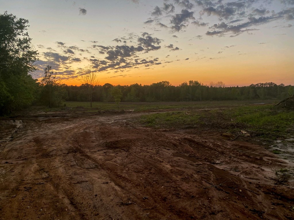 2776 New Hinson Road Slocomb, AL 36375 - Photo 7 of 12