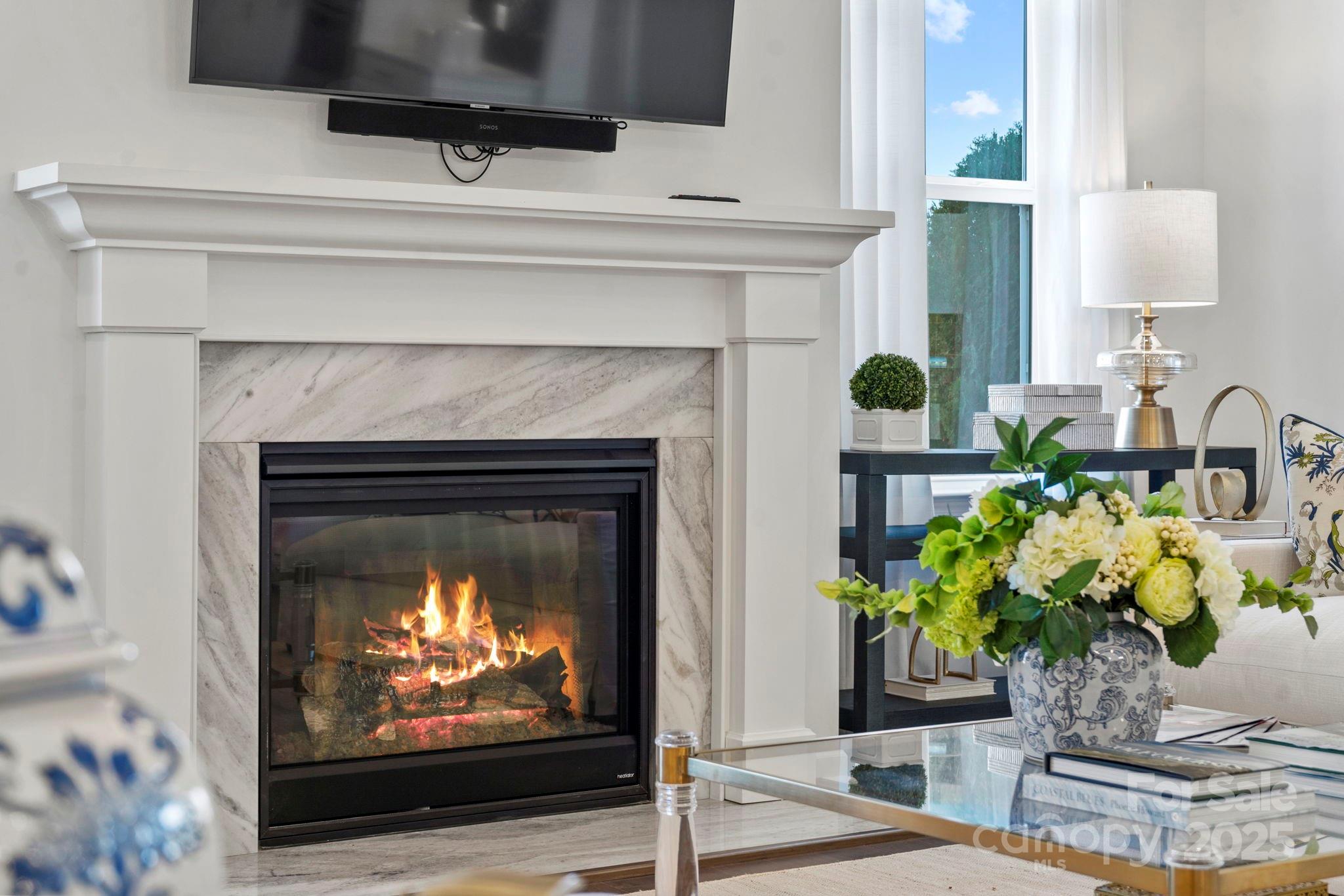 5068 Duval Circle Tega Cay, SC 29708 - Photo 14 of 41 a living room with a fireplace and a potted plant