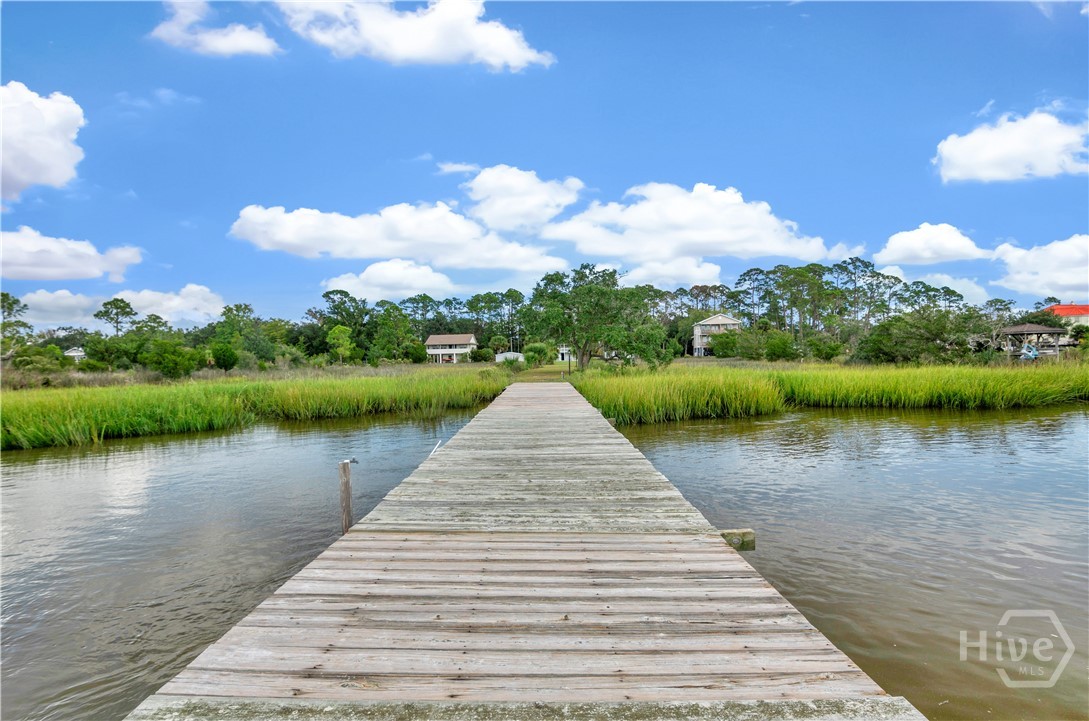 743 Cattle Hammock Road Midway, GA 31320 - Photo 14 of 44