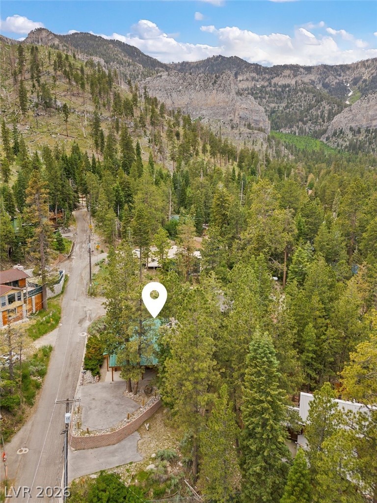 401 Alpine Way Mount Charleston, NV 89124 - Photo 42 of 65