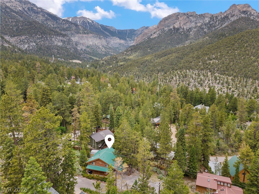 401 Alpine Way Mount Charleston, NV 89124 - Photo 45 of 65