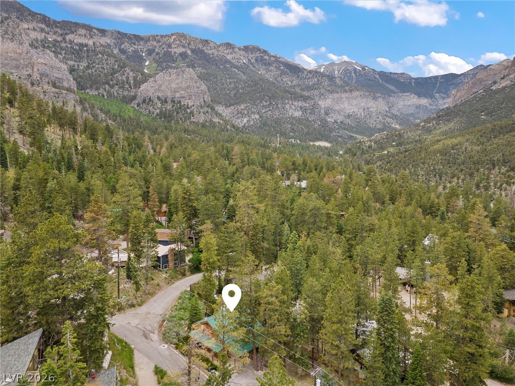 401 Alpine Way Mount Charleston, NV 89124 - Photo 46 of 65